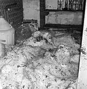 Uno dei locali invasi dalla grandine.