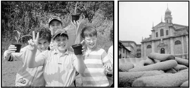 Alcuni bambini delle elementari durante la semina, la scorsa primavera, e i tradizionali «biscotti melgotto» prodotti dai fornai gandinesi
