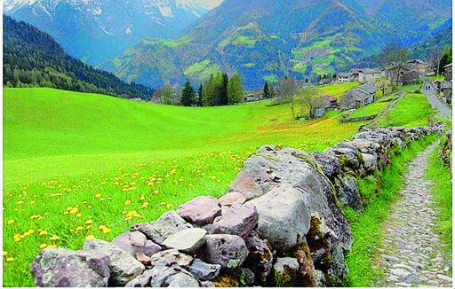 Un sentiero nella zona degli Spiazzi di Gromo foto Paolo Motta