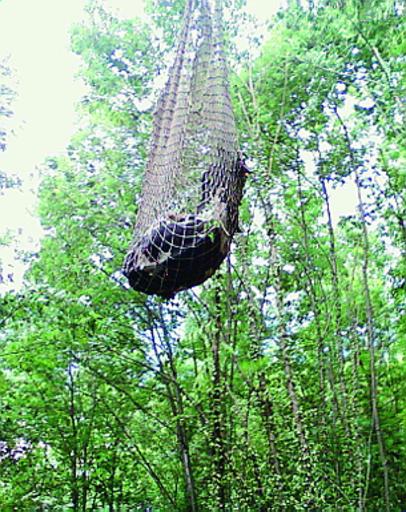 La mucca imbragata in una rete