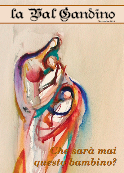 Copertina di Novembre 2010