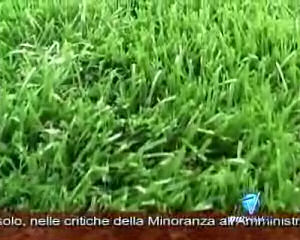 L'erba sintetica cresce in Valgandino
