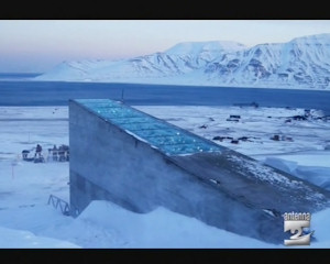 I semi al gelo per il futuro