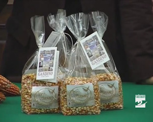 I semi del melgotto tornano negli orti