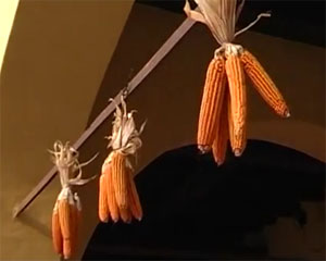 Speciale "I giorni del Melgotto 2012"