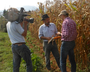 "Vie Verdi" in Valgandino