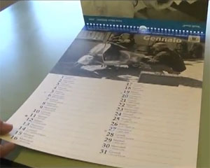 Un calendario dedicato ai vecchi