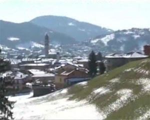 L'attività delle consulte