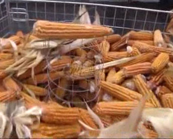 Speciale "I giorni del melgotto 2013"