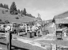 Parcheggio selvaggio alla Malga Lunga