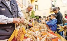 Bergamo sarà la capitale del mais per l’Expo 2015. Nei prossimi giorni sarà presentato un progetto provinciale per la valorizzazione di tutti i tipi di  mais prodotti nella nostra provincia. Un progetto che prende le mosse dal lavoro di sviluppo del mais spinato di Gandino.